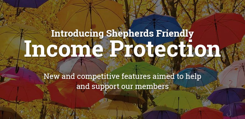 new income protection plan banner