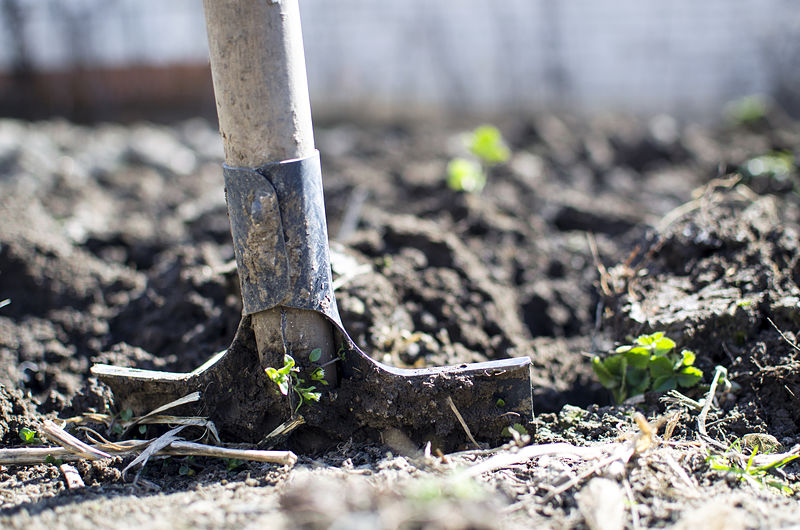 10 things every gardener needs