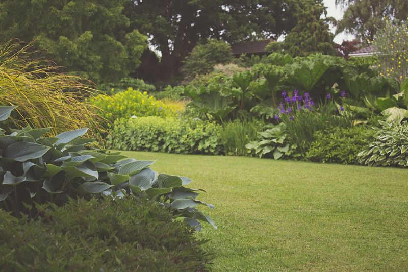 Garden scene