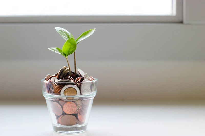 Coins growing in a pot