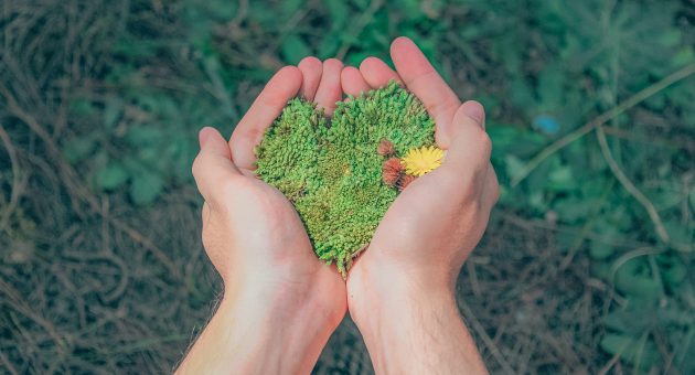 A handful of grains shaped like a heart.